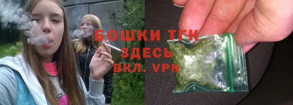 молекула духа Бугульма