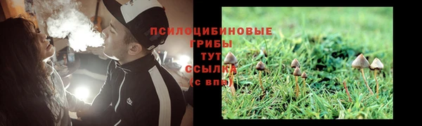 героин Бородино
