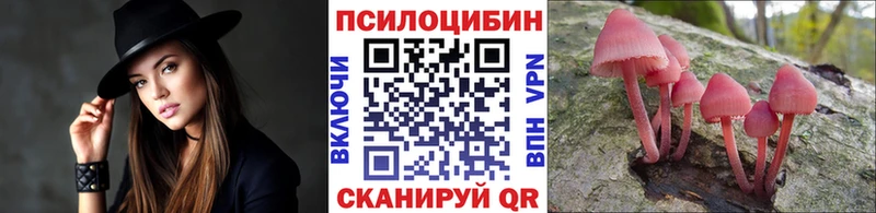 Галлюциногенные грибы мухоморы  Купить закладки  Вязники 
